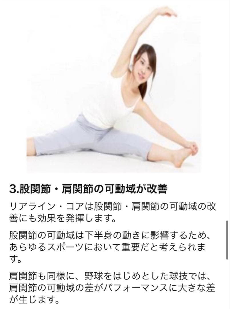 リアラインコア　2個セット