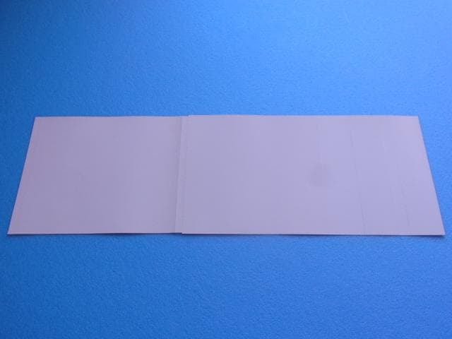 非売品　ホラーアクション コワイシャシン 心霊写真奇譚　プレイステーション　PS