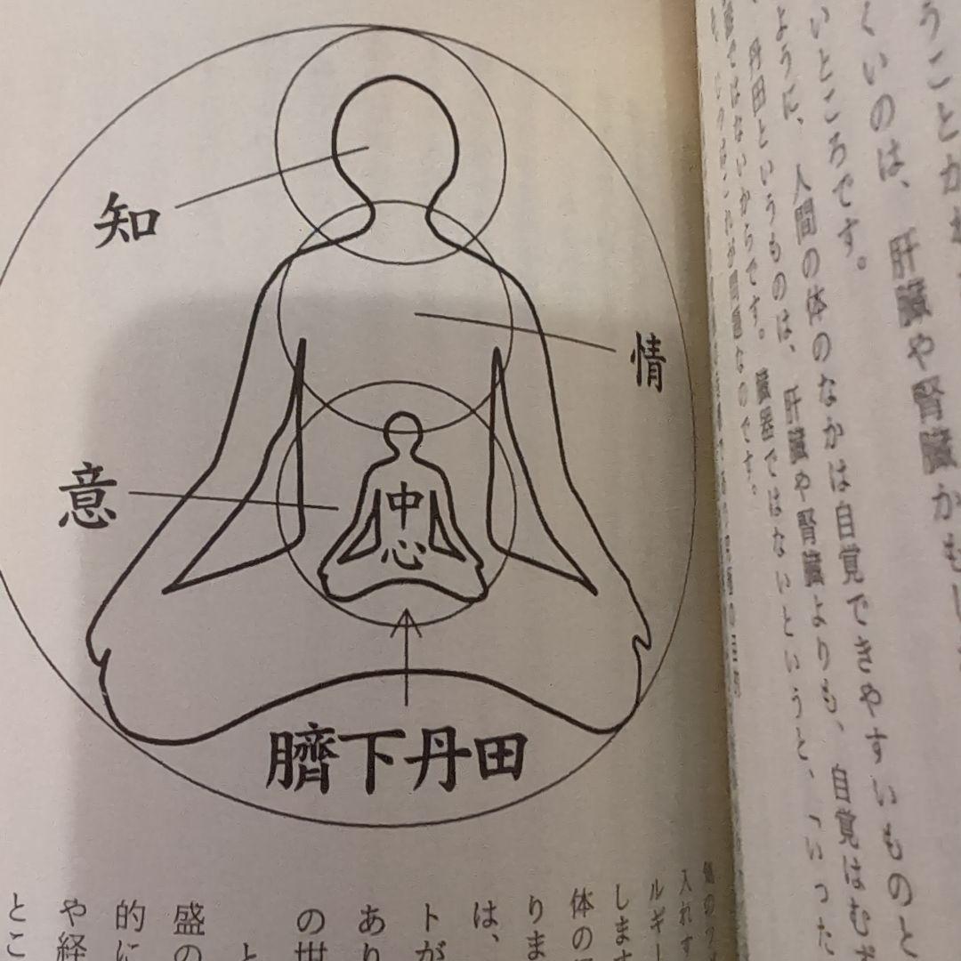 オンセラ心身健康法 : 自分で治す力が湧き出る : 驚異の温熱療法