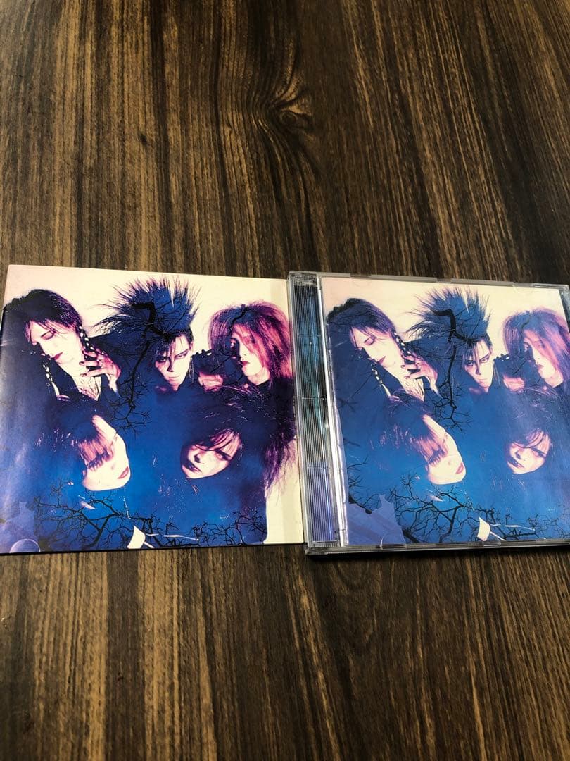 LUNA SEA インディーズ　初回限定写真集付