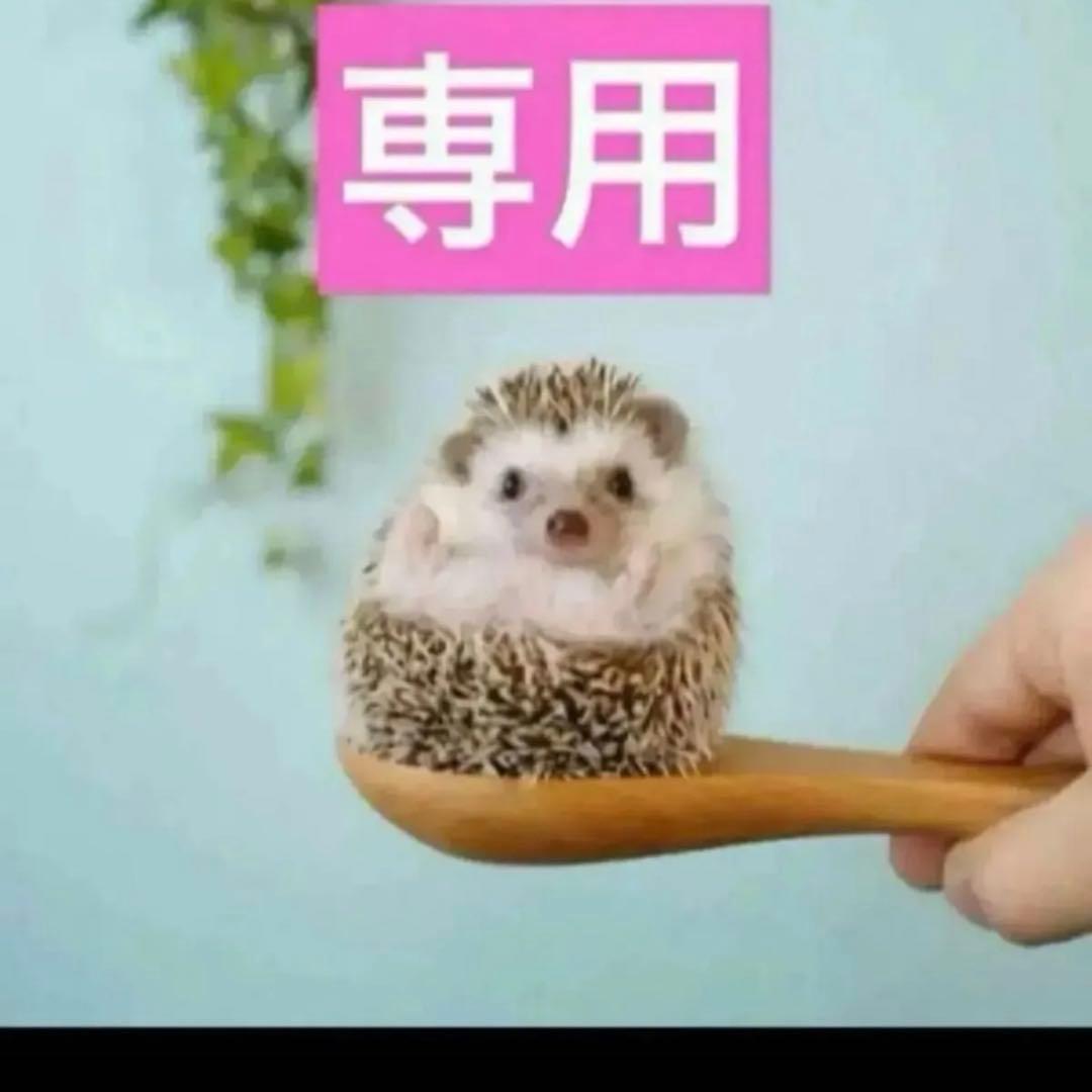 2点、ゴマージュ、シアーグロウ