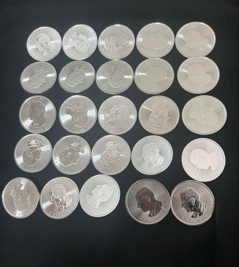 メイプルリーフhiroさん専用10枚①