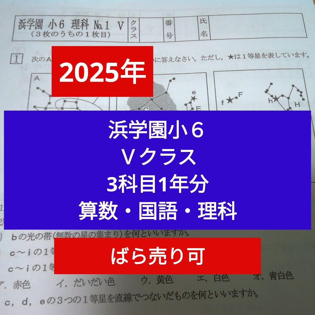 最新版2025年 浜学園小6 Vクラス 3科1年分 復習テスト 算国理