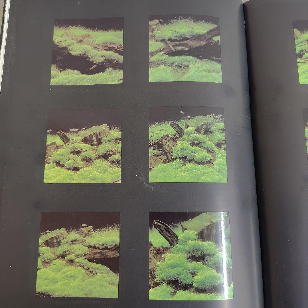 趣味・スポーツ・実用 NATURE AQUARIUM WORLD BOOK ONE