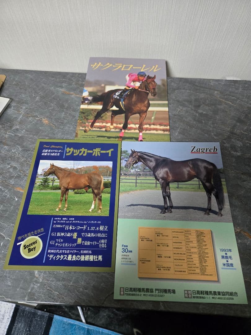 ロビンページです。