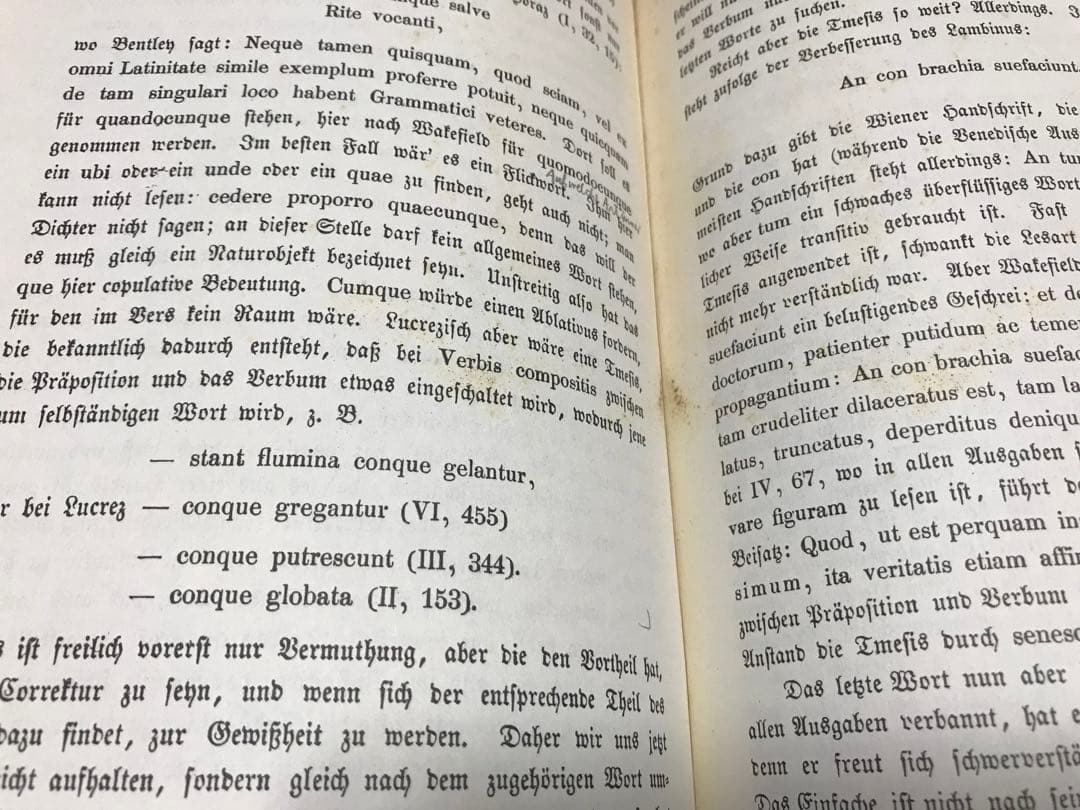 超レア洋書 #4 1810-1850. Schellings Werke.