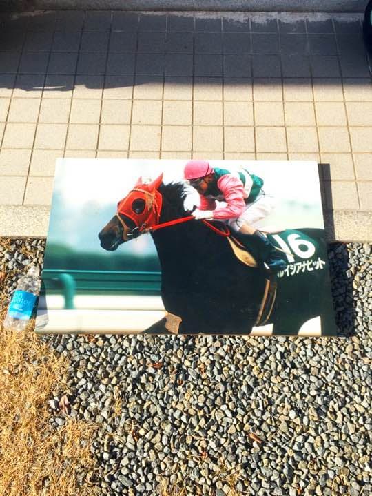 競馬 名馬 大きいパネル^o^