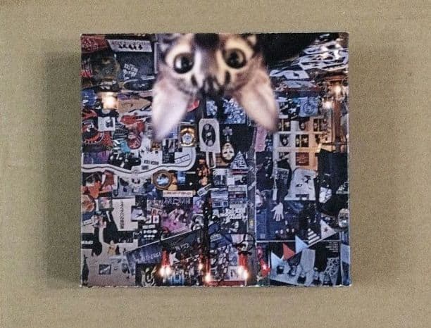 BUCK-TICK CATALOGUE 1987-2016 初回限定盤A BD付