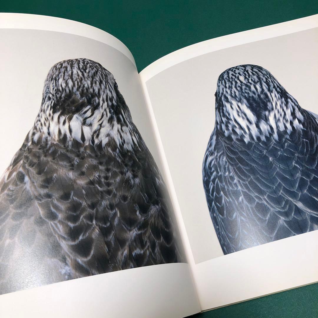 bird by RONI HORN ロニ・ホーン作品集