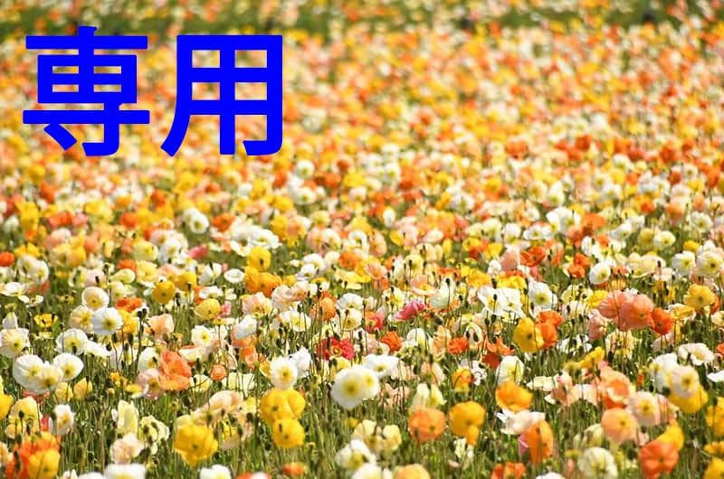 ハンサムさん専用