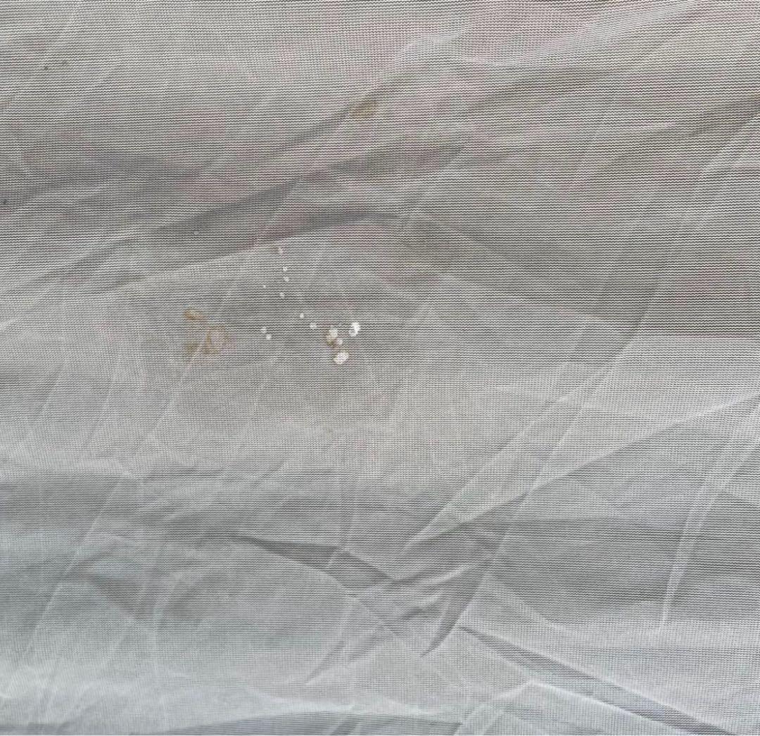 パイネ ゴアライトテントGORE LIGHT ２-３人用　ICI石井スポーツ