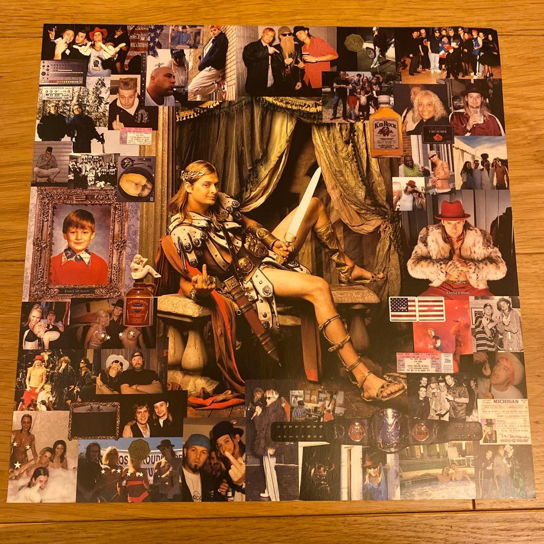 Kid Rock The History of Rock レコード LP