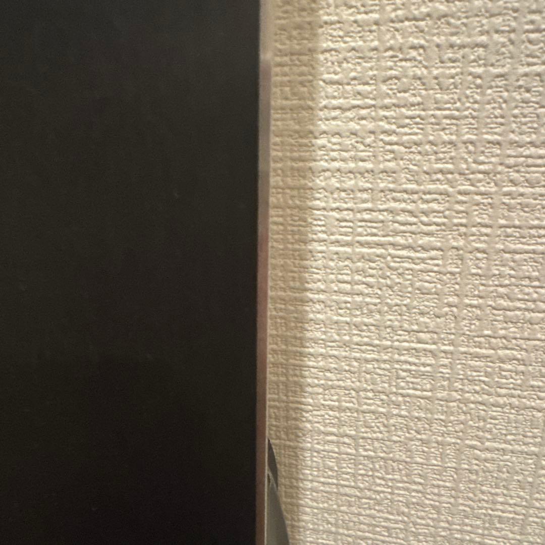 Völkl RACE TIGER Jr. 130 スキー板 フォルクル