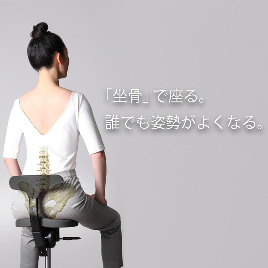 Ayur Chair アーユルチェアー オクトパス　猫背