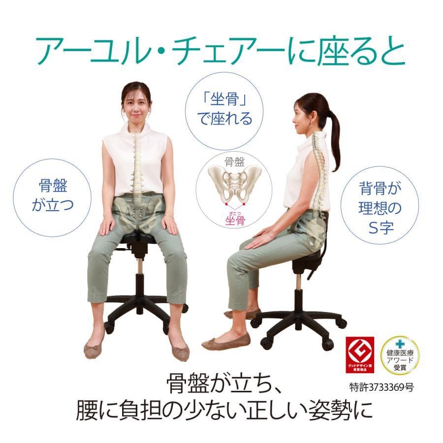 Ayur Chair アーユルチェアー オクトパス　猫背