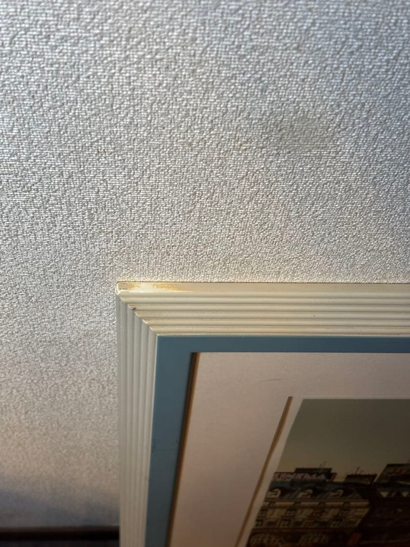 真作 ・ヤマガタ「メトロ」のシルクスクリーン243/295版画額装 直筆サイン