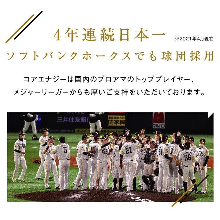 野球専用ベルト　コアエナジー 3　サイズ調整可能　ブラック /シルバー　ベルト