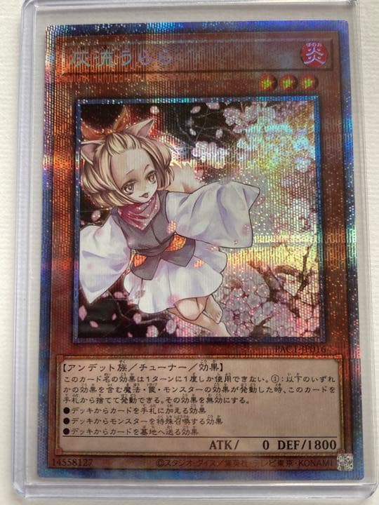 遊戯王　灰流うらら　プリシク