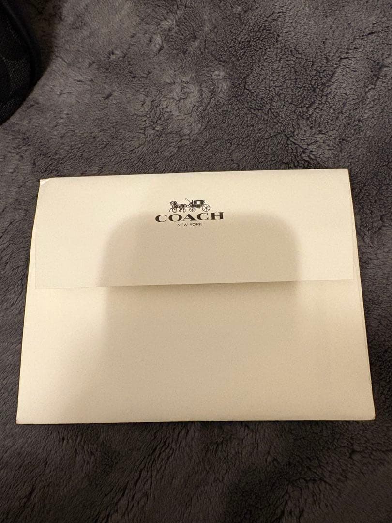 未使用・保存袋・説明書・ストラップ付き　COACH ブラック リュック