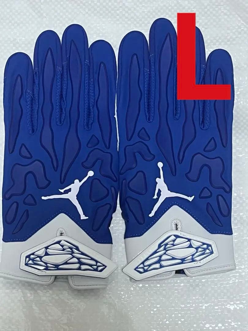 セール‼️JORDAN FLY LOCK PADDED GLOVES BLUE L