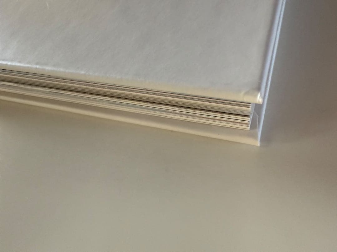 新品 the shadow of the official art works