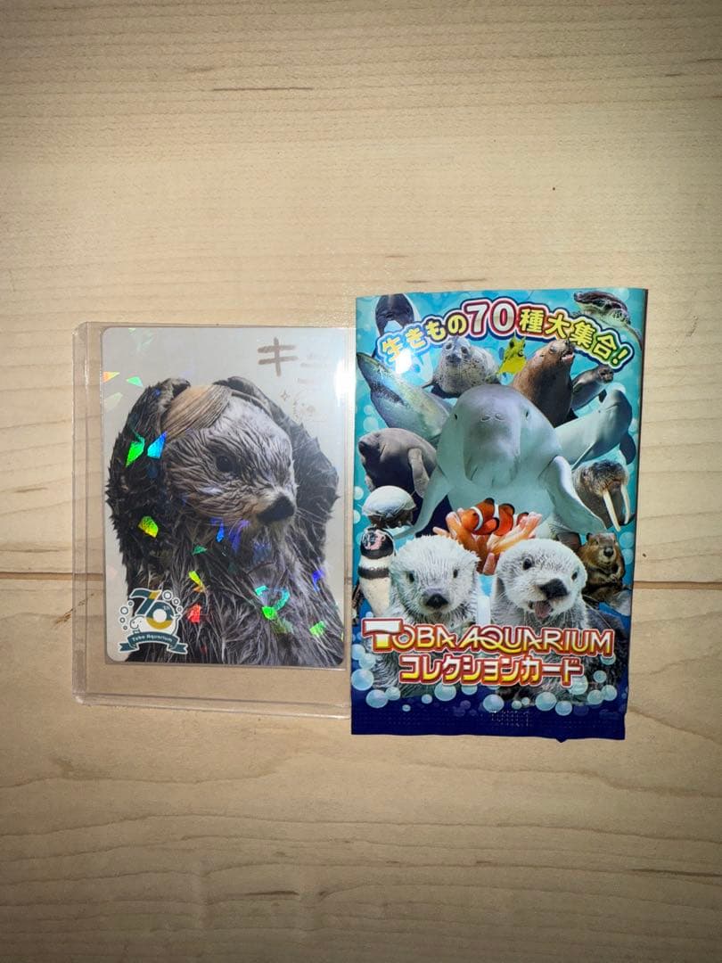 最安値　鳥羽水族館 TOBA AQUARIUMコレクションカード ラッコ キラ