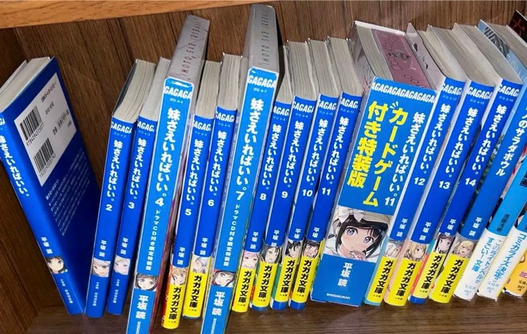平坂読　妹さえいればいい。　サラダボウル　僕は友達が少ない　漫画　小説　セット