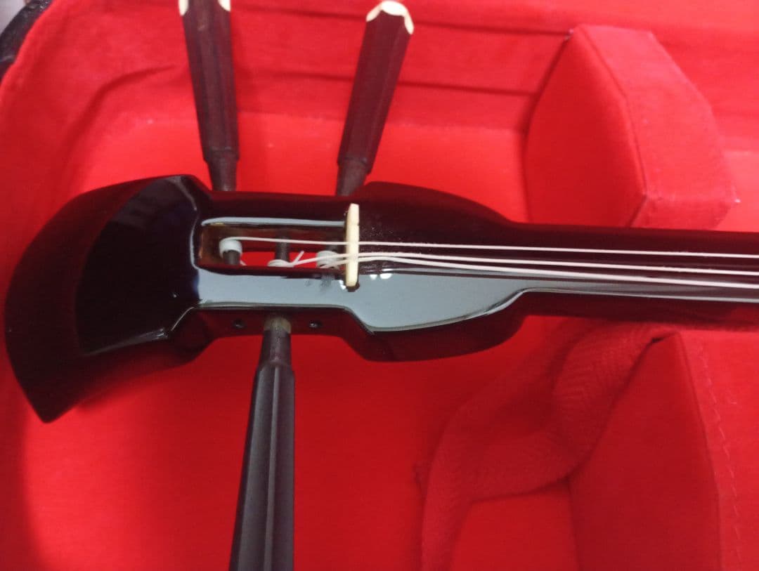 三線本体 ヘビ革 黒