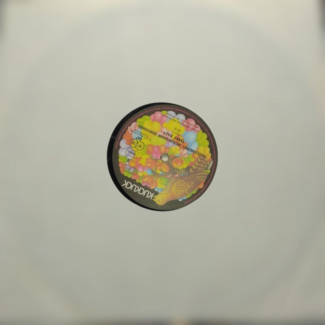 ['82年EU盤LP] テリーライリーDescending Moonshine…