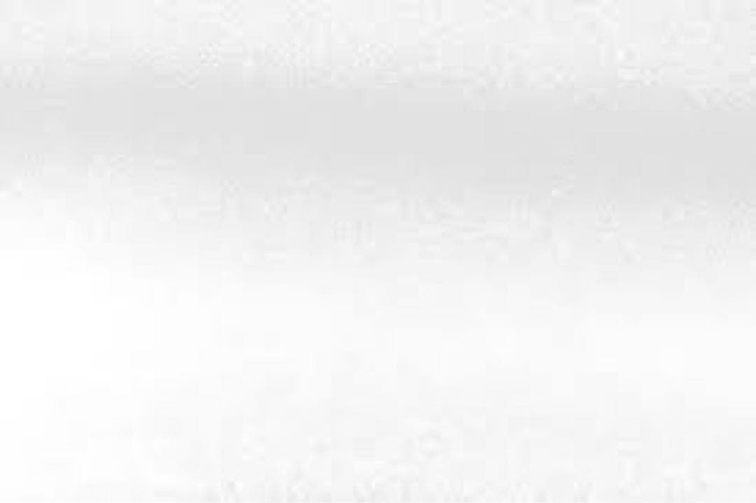 カリーノパック,プロフ必読様