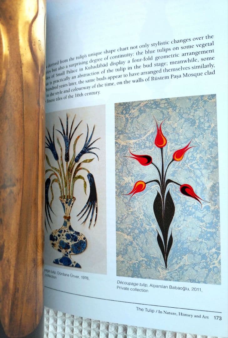 トルコ チューリップの本　In Nature, History and Art