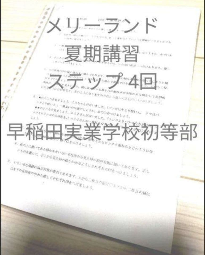 小学校受験 メリーランド 早稲田実業学校初等部 夏期講習 ステップ