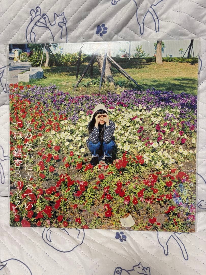 即購入OK 未使用品 銀杏BOYZ 光のなかに立っていてね レコード LP