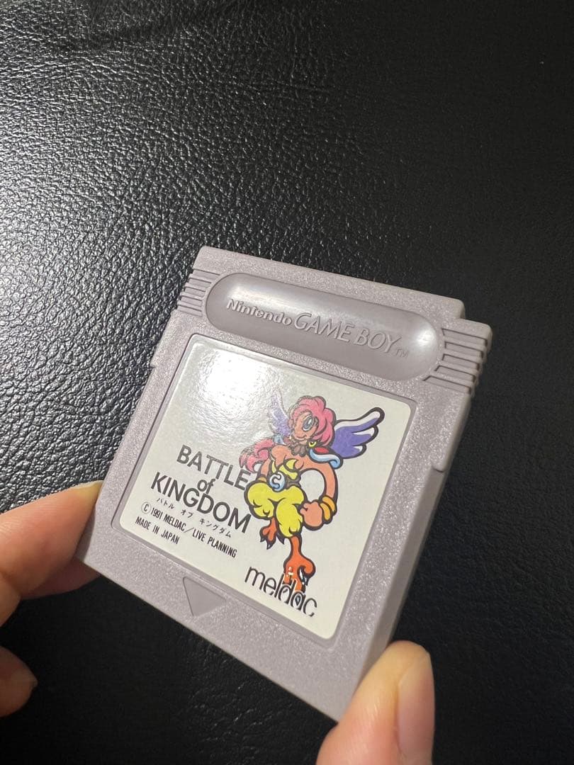 希少　バトルオブキングダム　箱あり　ゲームボーイ