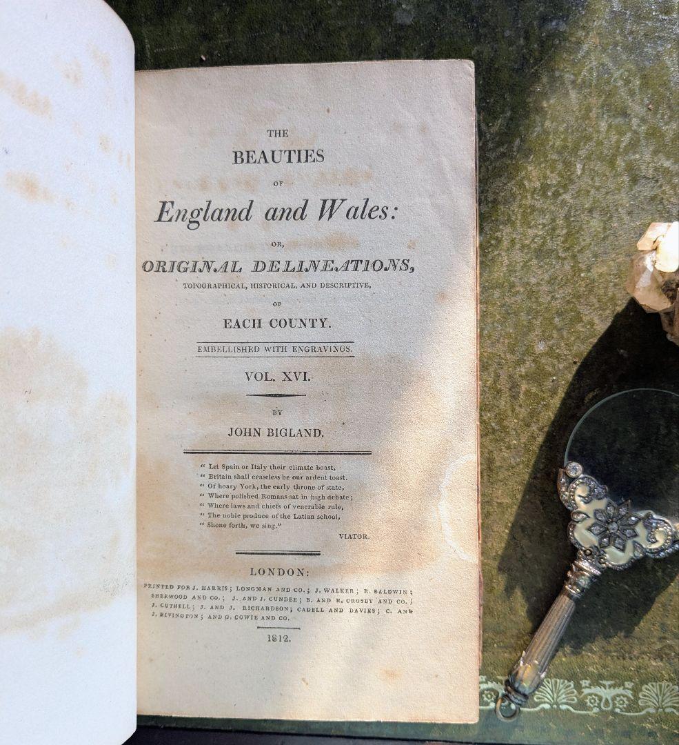 まるで貴族の書斎に飾られていたような、重厚なアンティーク本セット♪古書洋書