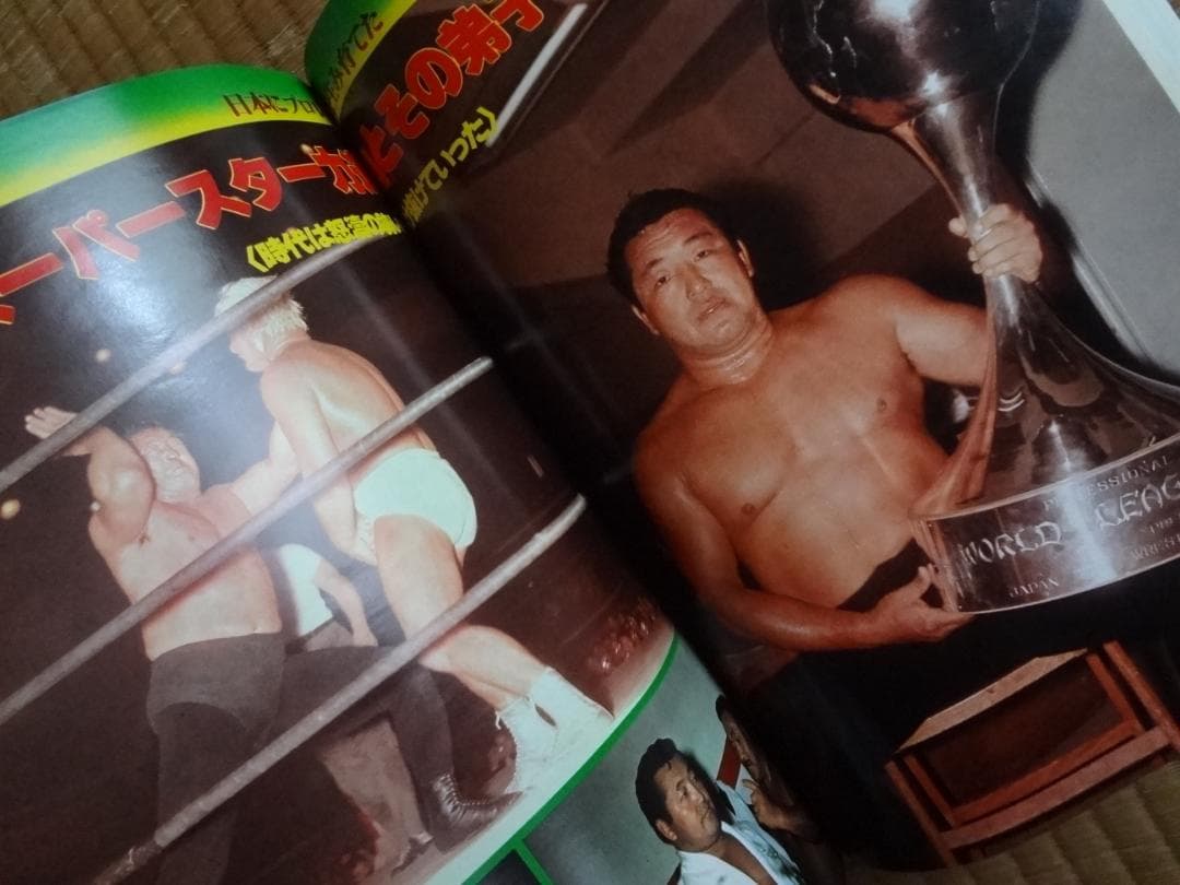 別冊プロレス増刊★秘蔵写真とセレクトされた記録でつづる 日本のプロレス30年史