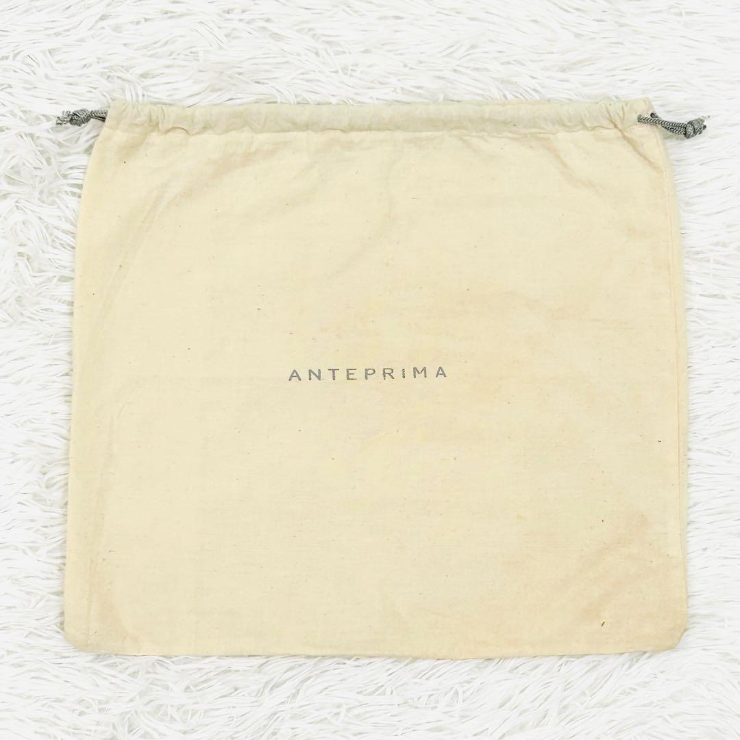 ANTEPRIMA ワイヤーグリッター　ハンドバッグ　裏地付　ピンク