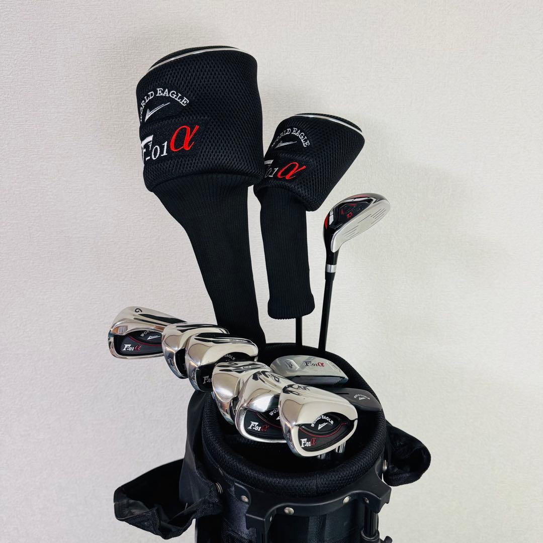 【美品・初心者男性向け】WORLD EAGLE F-01α ゴルフクラブセット