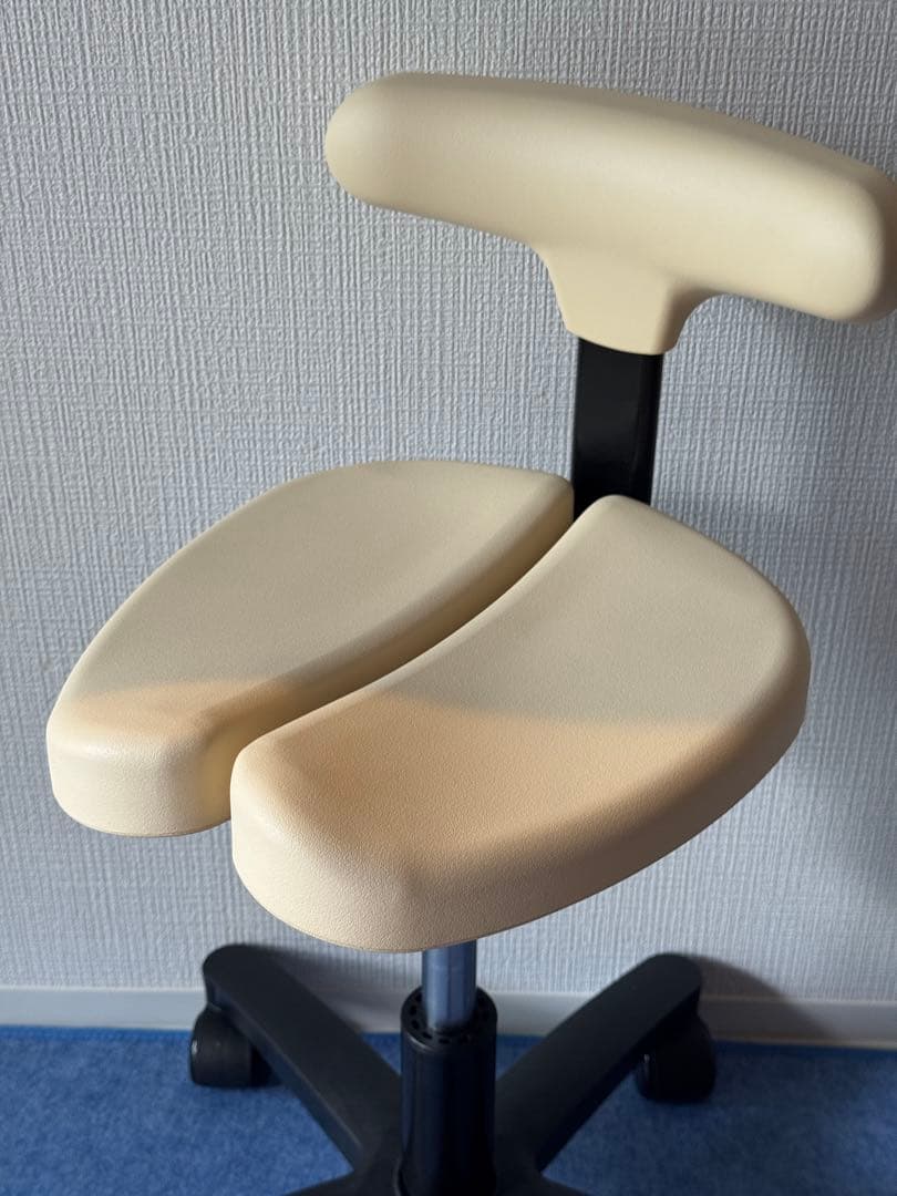 YUKO様用Ayur Chair(アーユルチェアー)オクトパス※シートカバー付き