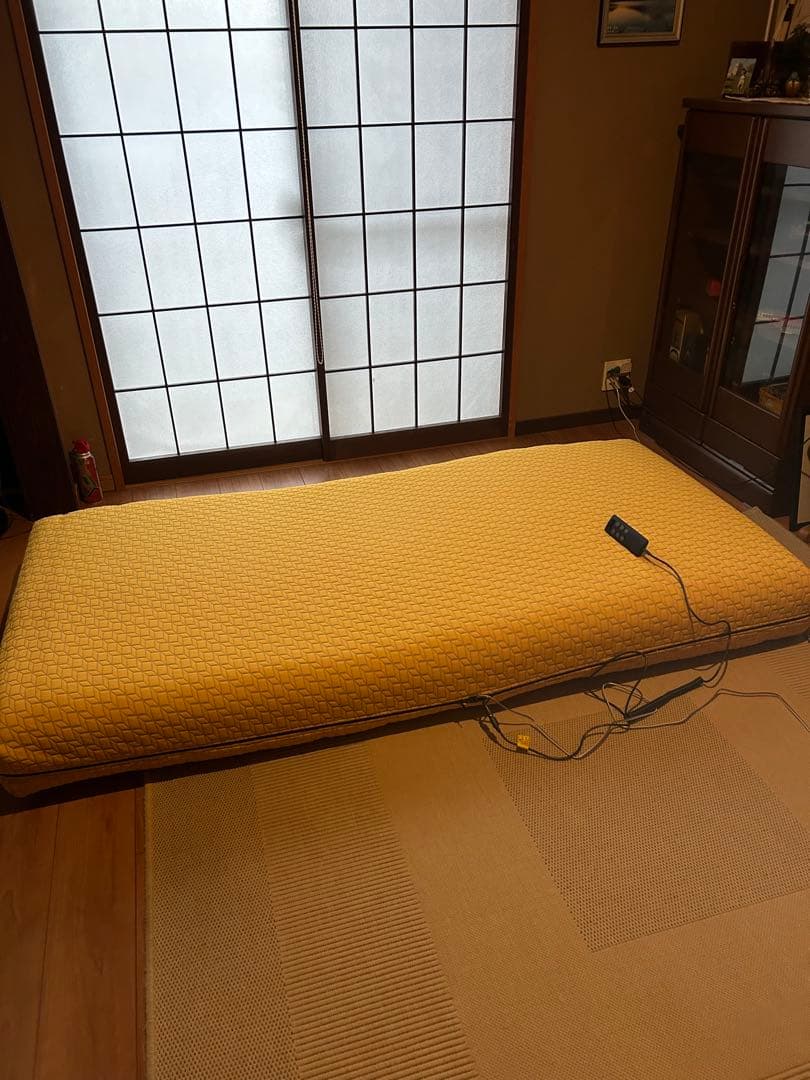 電動リクライニングマットレス　RP-1000W