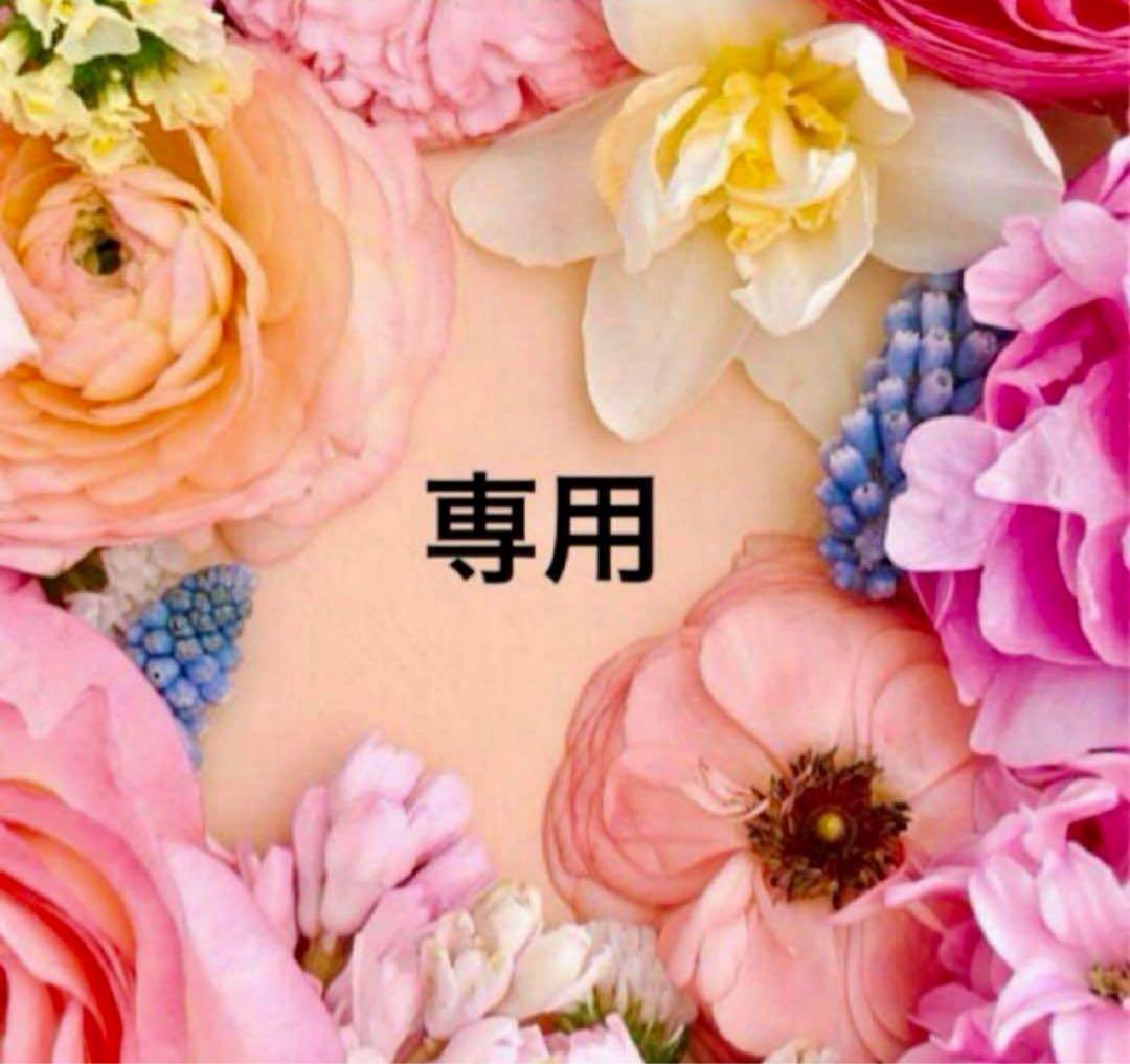 土かぶりのエレナ姫 7 おまとめ専用②