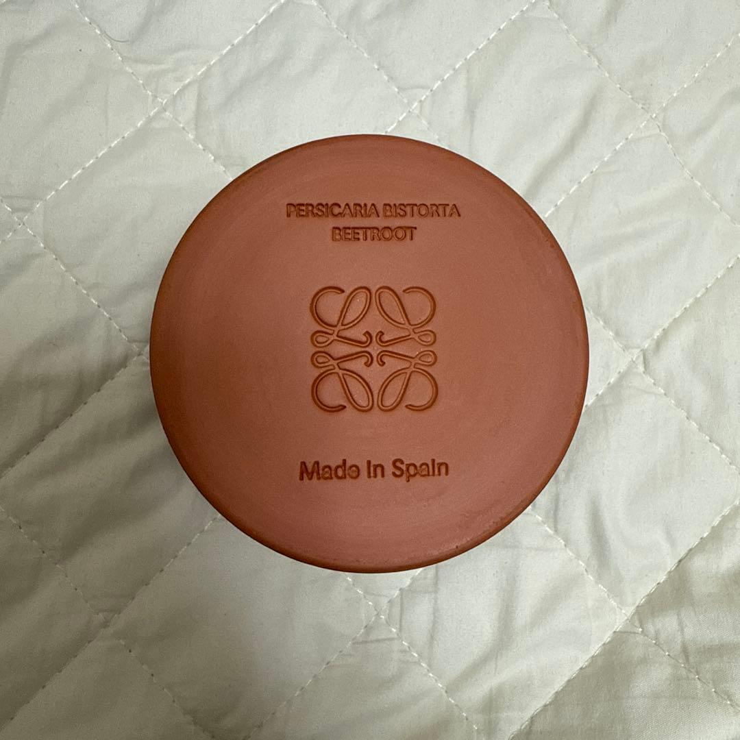 LOEWE キャンドル　ビートルート 170g