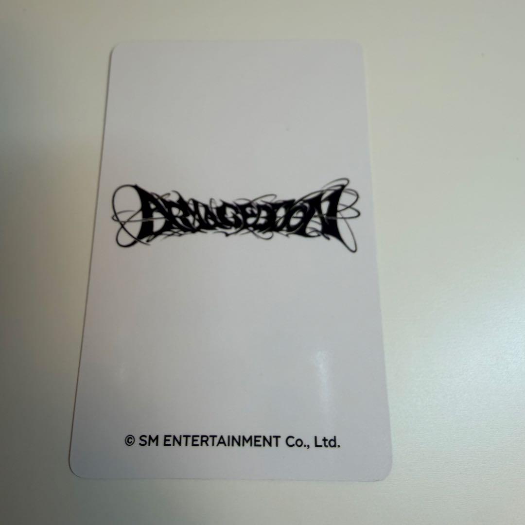 aespa エスパ ウィンター winter スーツケース トレカ