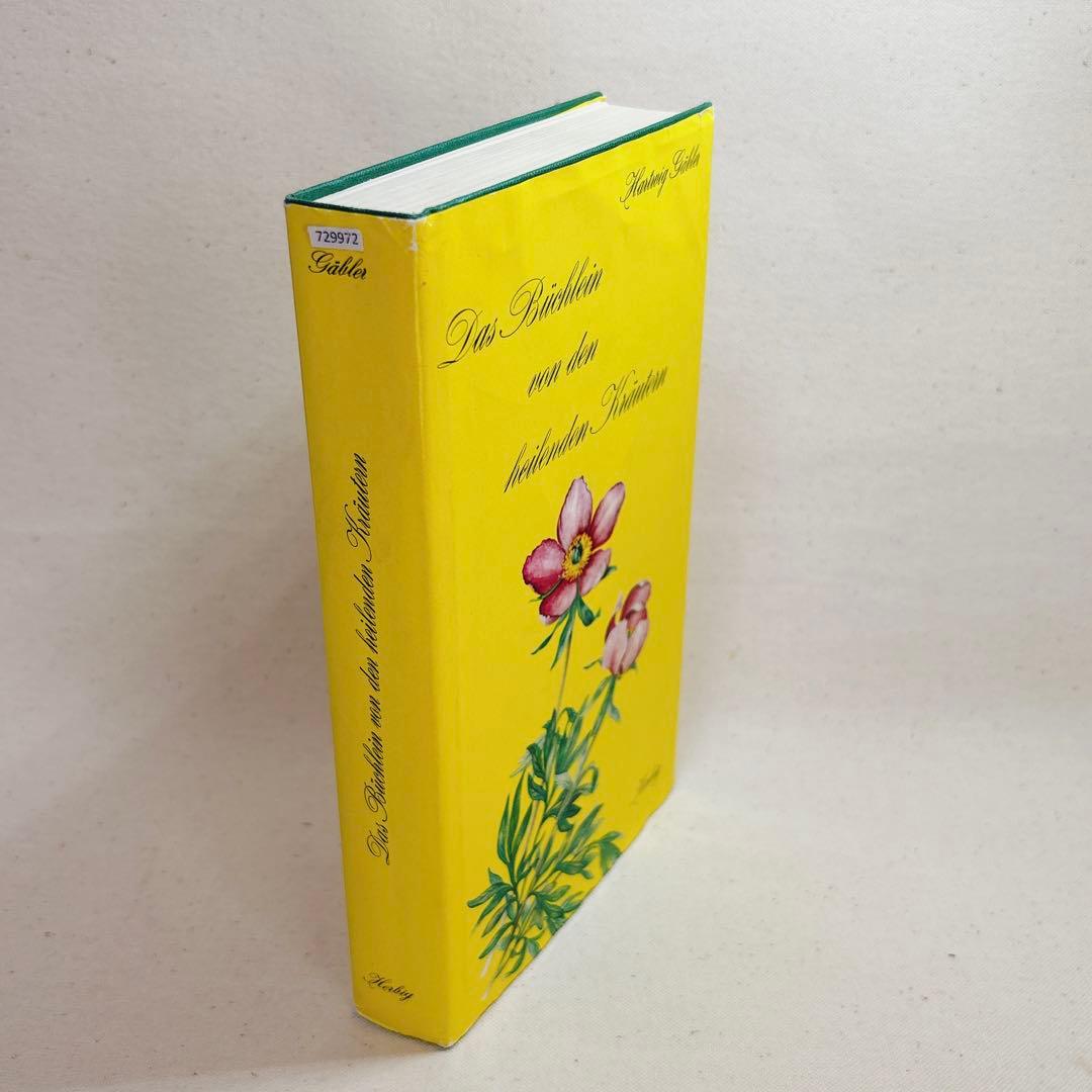 美しい植物画 ドイツ 洋書 図鑑 1963 Elsa Flesko Blumen