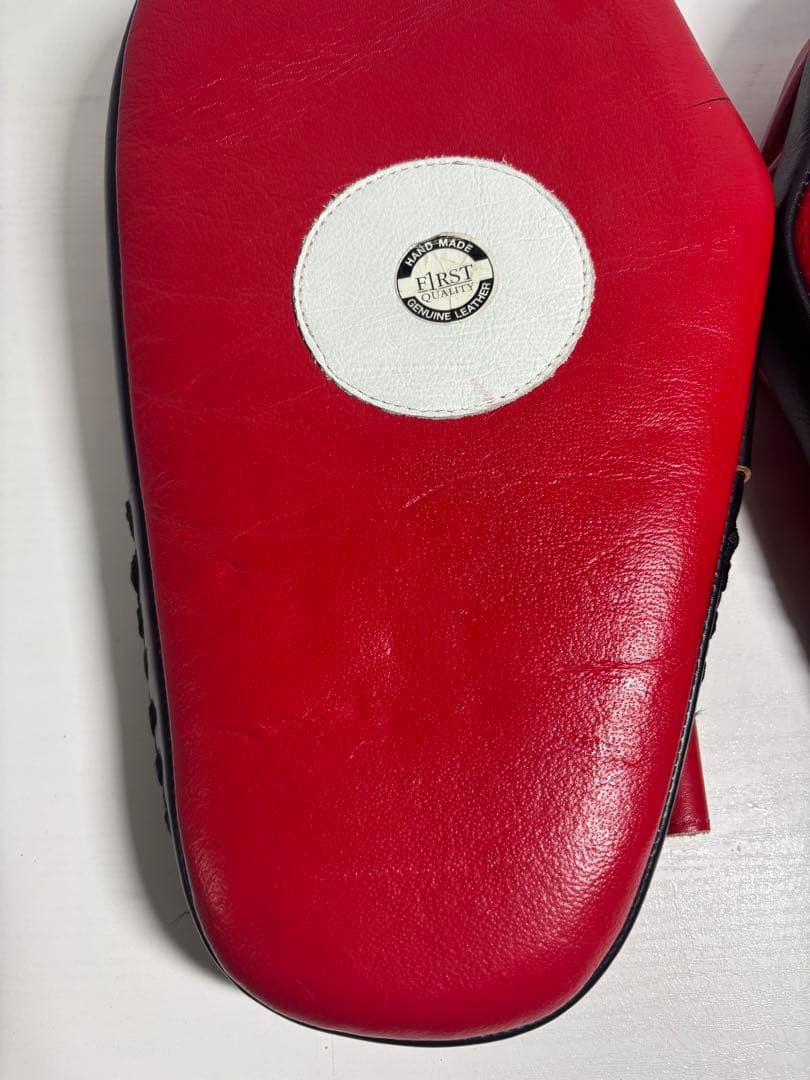 TWINS キックミット パンチングミット