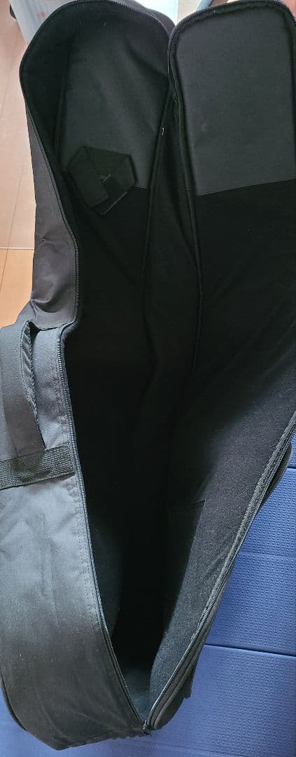 アコースティックギター HEX F100 M ケース付き 美品