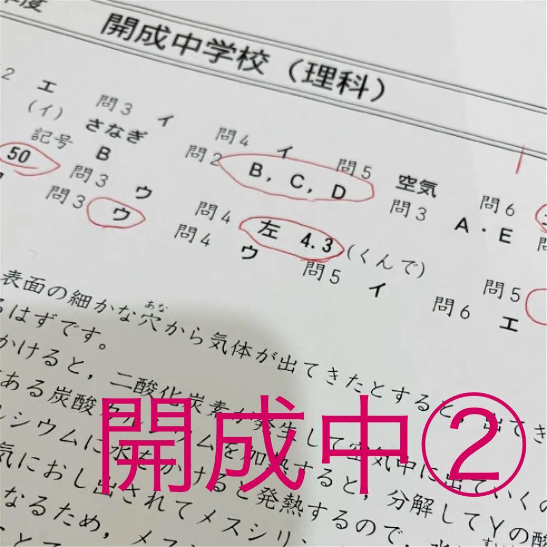 開成中学　過去問　17年分　中学受験　4教科②