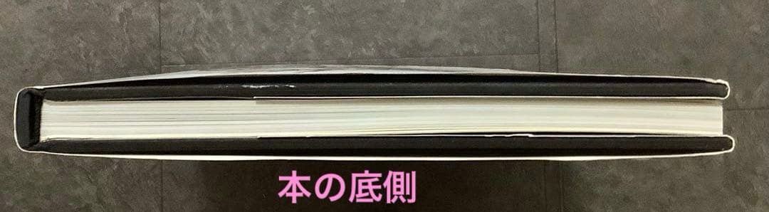 【レア】 セルジュ・ルタンス 写真集 1998年 絶版 箱入り