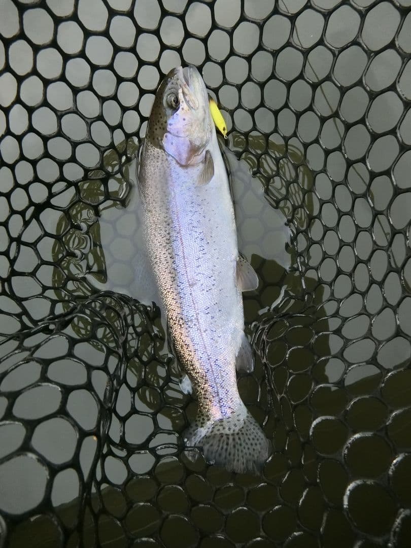 CASIO EXILIM EX-ZR70 ホワイト コンパクトデジタルカメラ