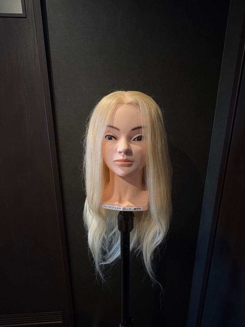 ブロンドロングウィッグ東京チャームNo.66
